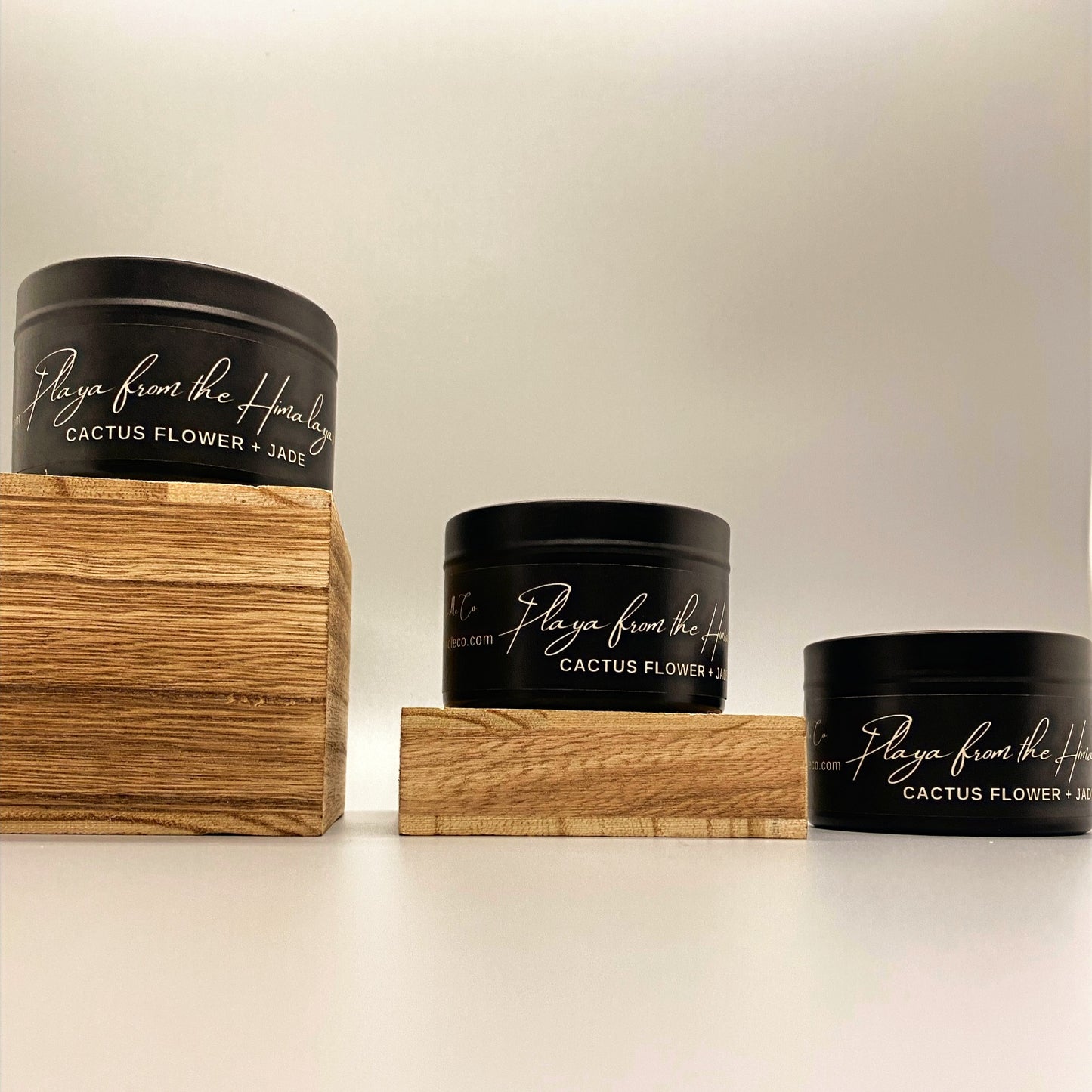 Playa From the Himalayas