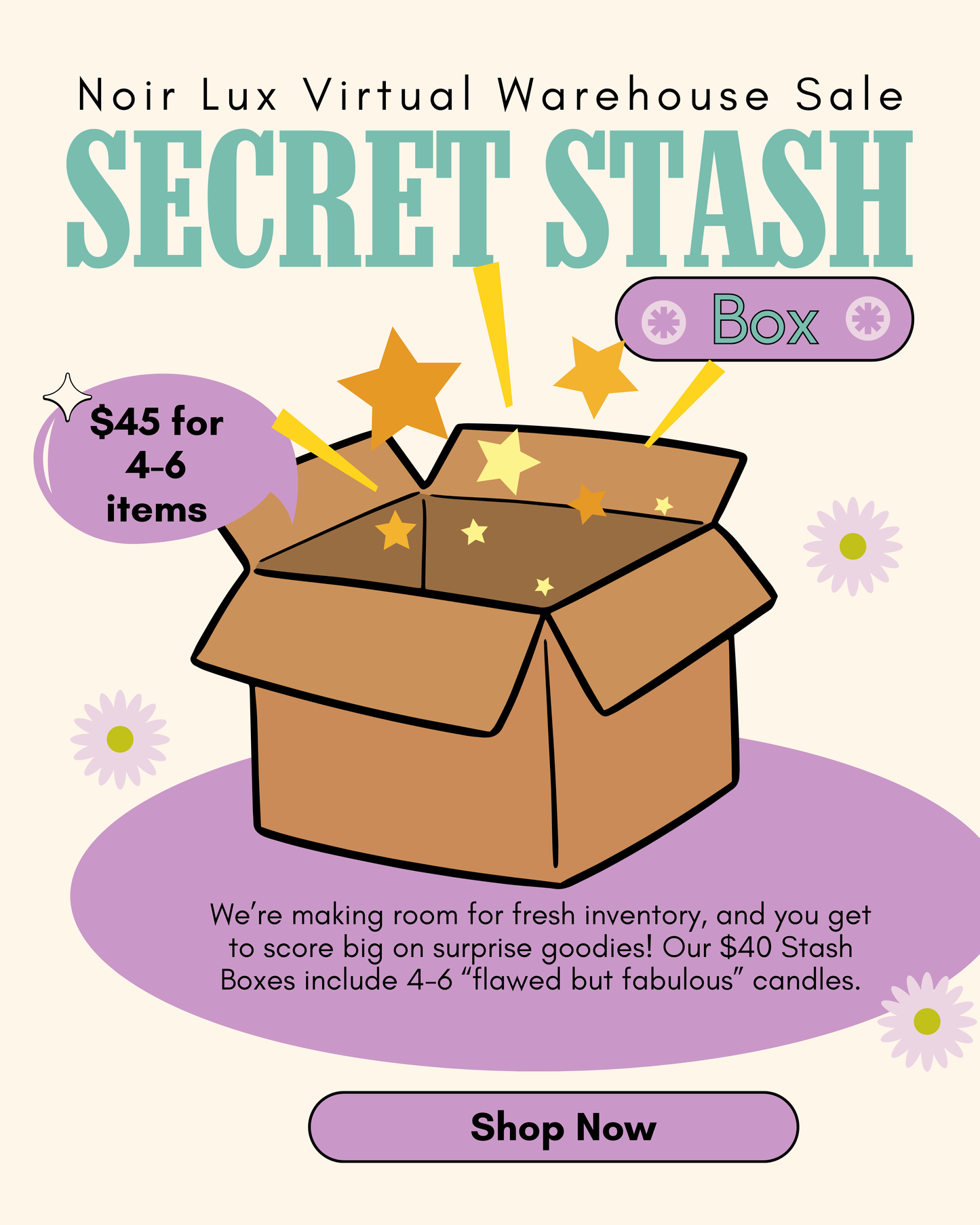 Secret Stash Box (Final Sale)
