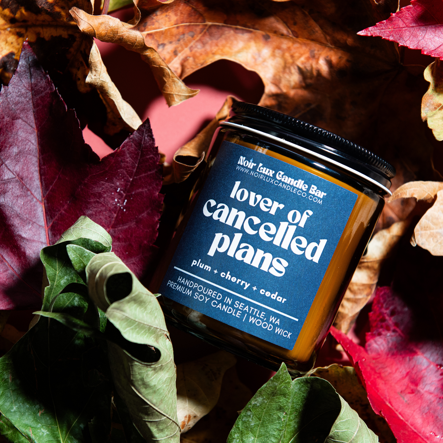 Lover of Cancelled Plans