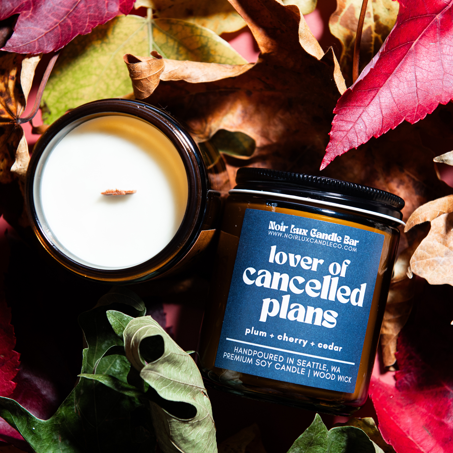 Lover of Cancelled Plans