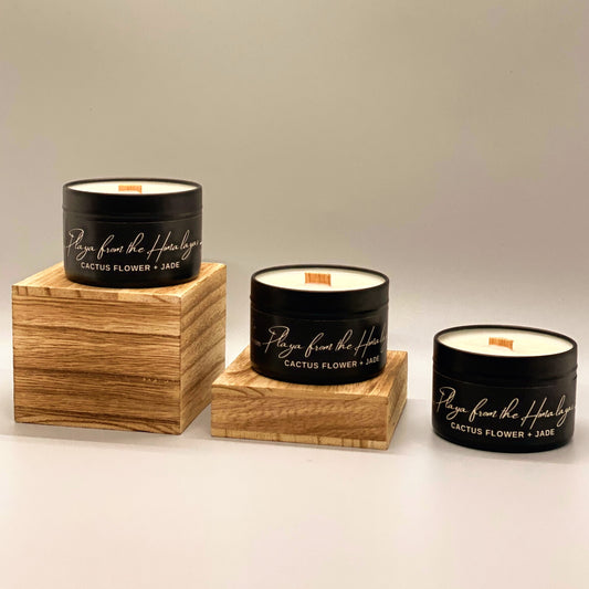 Playa From the Himalayas