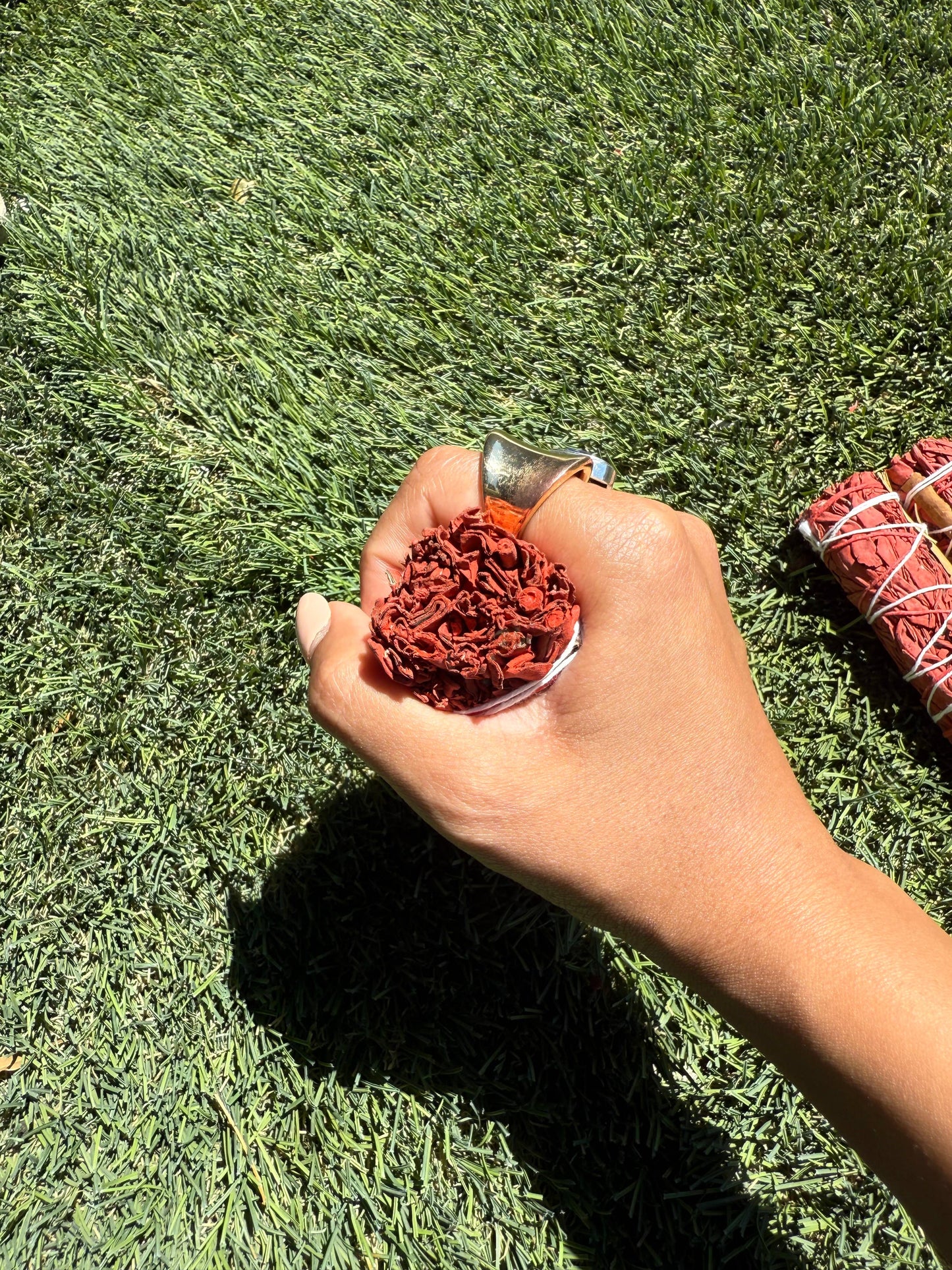 Dragons Blood with Cinnamon White Sage Bundle