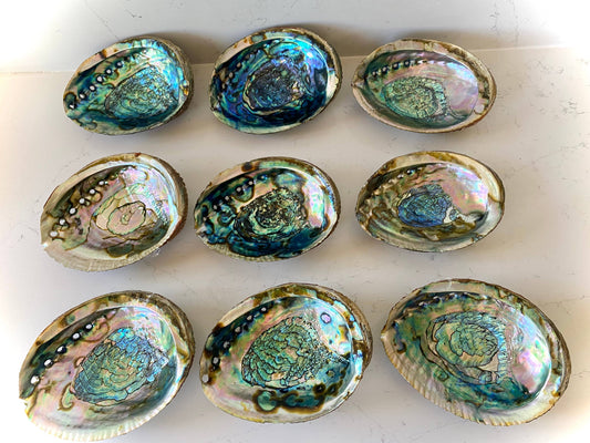 Abalone Shell Smudge Bowl